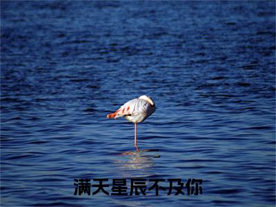 越景锡顾惟结局+番外（满天星辰不及你）完结阅读无弹窗大结局_(越景锡顾惟结局+番外)最新章节列表_笔趣阁（满天星辰不及你）