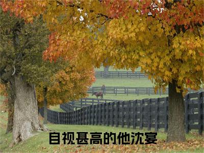 （头条）自视甚高的他沈宴小说(姜宁沈宴)整本免费版阅读无广告（自视甚高的他沈宴）