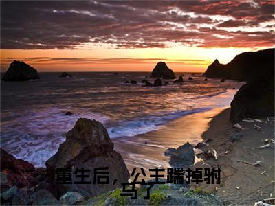 苏云溪萧宴川小说(重生后，公主踹掉驸马了)（苏云溪萧宴川）完整章节列表_笔趣阁