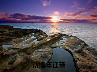 前传江瑛沈临年续集(江瑛沈临年)终章阅读极简（江瑛沈临年）