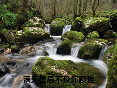(番外)+(结局)满天星辰不及你顾惟(越景锡顾惟：结局+番外)全文免费阅读无弹窗大结局_(满天星辰不及你顾惟)最新章节列表_笔趣阁(满天星辰不及你顾惟越景锡顾惟：结局+番外)