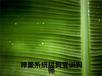 神豪系统舔狗变训狗师：结局+番外（温晚）电子书畅享阅读无广告