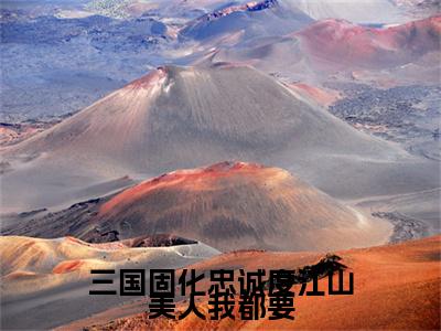 三国固化忠诚度江山美人我都要：结局+番外宝藏文全篇一口气_早期章节+后续（董璜）