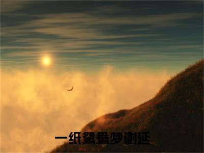前传乔云舒谢延续集(乔云舒谢延)终章阅读极简（乔云舒谢延）