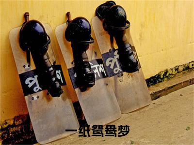 热文推荐乔云舒谢延一纸鸳鸯梦小说大结局（一纸鸳鸯梦）书荒必看列表