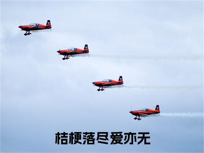 傅沉风路念瑶桔梗落尽爱亦无小说完本+番外（桔梗落尽爱亦无）畅享阅读