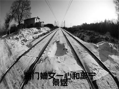 将门嫡女一心和离宁景煜小说(将门嫡女一心和离宁景煜)（晏飞霜宁景煜）完整章节列表_笔趣阁
