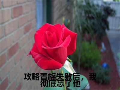 电子书+番外篇章+（沈修林薇）免费版在线阅读