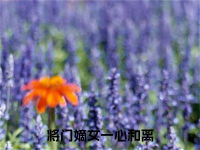 晏飞霜宁景煜彩蛋（将门嫡女一心和离）全书在线下载阅读完美终章小说大结局
