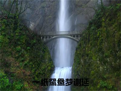 乔云舒谢延一纸鸳鸯梦谢延小说无删减阅读清爽版（一纸鸳鸯梦谢延）外篇+续集