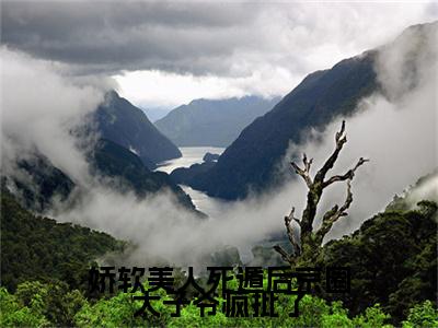 许真江怀瑾后续（娇软美人死遁后京圈太子爷疯批了）全文在线下载在线+纯净版结局