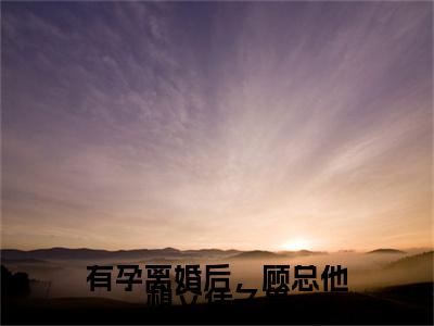 高分_有孕离婚后，顾总他想父凭子贵小说(姜一叶顾浔聿)（有孕离婚后，顾总他想父凭子贵）全本完整阅读
