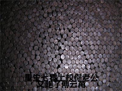 重生七零上校你老公又跑了傅云苒：全文+后续小说（秦聿凛傅云苒）免费热文在线阅读无弹窗_重生七零上校你老公又跑了傅云苒：全文+后续最新章节阅读全文（秦聿凛傅云苒）