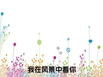 我在风景中看你：结局+番外看点十足（傅彻苏夏夏）全书无套路阅读