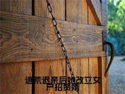 许知意沈无忧完结篇(逃荒退亲后她改立女户招赘婿)章节：结局+番外评价五颗星