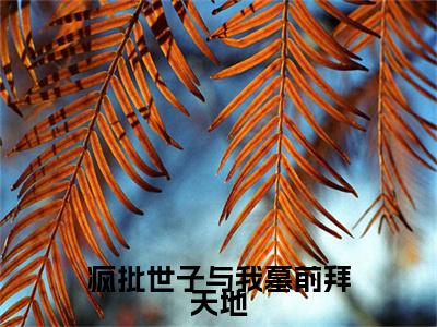 （霜娘顾易玄）霜娘顾易玄小说(疯批世子与我墓前拜天地)小说全集速览无广告高口碑小说