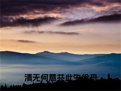 热文推荐清无何意共此生徐舟野小说（南清禾徐舟野）前传列表