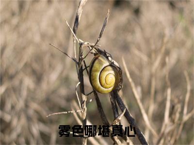 （沈卿尘叶飘）：+后续+番外 雾色哪堪真心后续全本浏览阅读