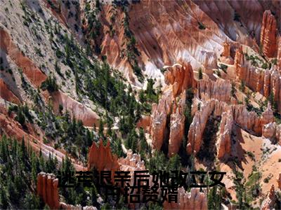 逃荒退亲后她改立女户招赘婿小说（许知意沈无忧）前文+全本完整阅读预售作品抢先看