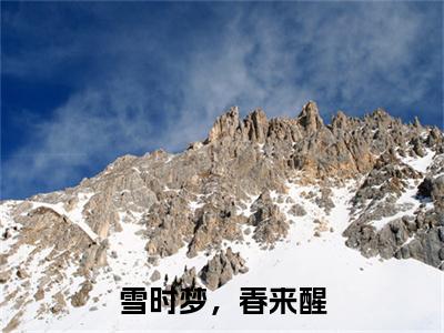 雪时梦，春来醒：结局+番外(苏灵韵薛裴)全文免费阅读无弹窗大结局_(雪时梦，春来醒：结局+番外)最新章节列表_笔趣阁(苏灵韵薛裴)
