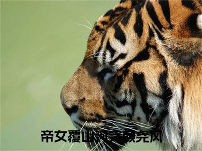 帝女覆山河完颜尧风：结局+番外新上热文_笔趣阁（赵清舒完颜尧风）赵清舒完颜尧风：结局+番外评价五颗星