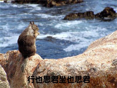 行也思君坐也思君附加(行也思君坐也思君)（方念一凌宴舟）全本浏览阅读连载中