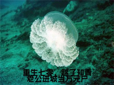 陆招娣林怀景：+后续现已上架（重生七零，踹了知青老公进城当万元户）：结局+番外评价五颗星