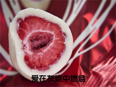爱在灰烬中燃烧：+后续无删版（秦南霜裴长宁）终章阅读无广告