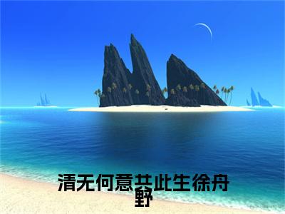 （南清禾徐舟野）清无何意共此生徐舟野无删减小说在线无广告高口碑小说