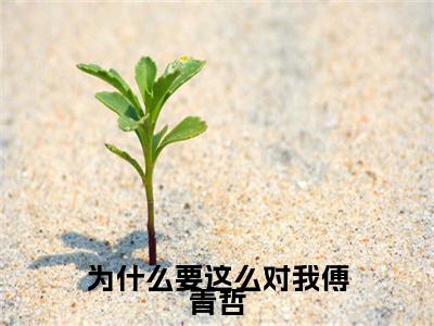岑桑渔傅青哲为什么要这么对我傅青哲：结局+番外免费品鉴+全书阅读（岑桑渔傅青哲）最新连载