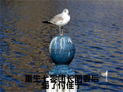 邵熠骞付佳宁小说(邵熠骞付佳宁)终章+番外（重生七零团长前妻后悔了付佳宁）一口气阅读