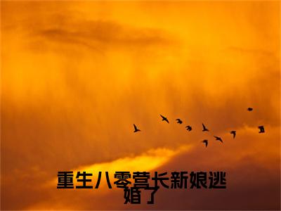何婉吟靳慎之（重生八零营长新娘逃婚了/何婉吟靳慎之：结局+番外）全文免费阅读无弹窗大结局_(重生八零营长新娘逃婚了)最新章节列表_笔趣阁（何婉吟靳慎之/重生八零营长新娘逃婚了：结局+番外）