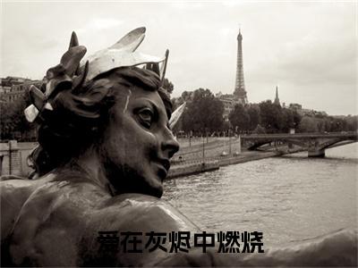 秦南霜裴长宁（爱在灰烬中燃烧）小说免费阅读无弹窗完整版_（爱在灰烬中燃烧）秦南霜裴长宁最新章节列表笔趣阁