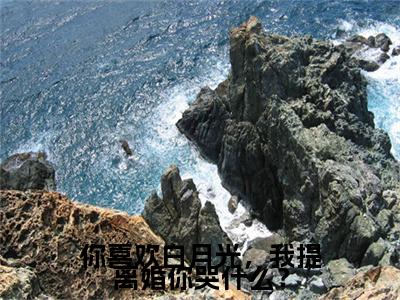 你喜欢白月光，我提离婚你哭什么？小说全篇完整在线阅读（顾景舟沈知意）热门章节列表