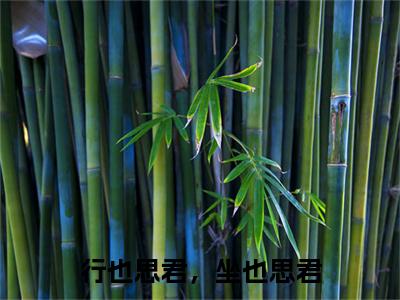 行也思君，坐也思君：全文+后续（方念一凌宴舟）完结阅读无弹窗大结局_(行也思君，坐也思君：全文+后续)最新章节列表_笔趣阁（方念一凌宴舟）