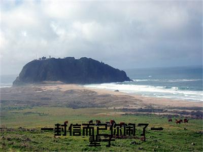 佟月笙韩在野小说(佟月笙韩在野)（一封信而已你闹了一辈子）前传+阅读全新作品预订