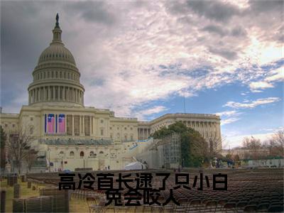 高冷首长逮了只小白兔会咬人小说（苏瑾王钢峰）+后续+结局在线阅读