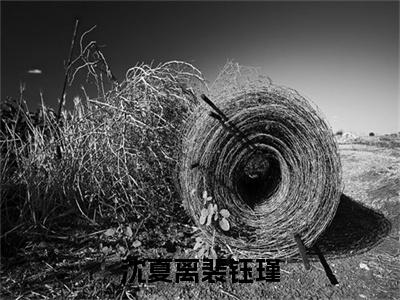 （沈夏离裴钰瑾）：+后续+番外 沈夏离裴钰瑾后续全本浏览阅读