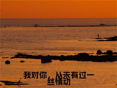 高分_我对你，从未有过一丝情动小说(苏幼薇沈叙白)（我对你，从未有过一丝情动）全本完整阅读
