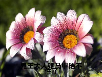 孟时音顾斐年是什么小说(鬼王大人她马甲捂不住了)（孟时音顾斐年）全本完整清爽版在线+无广告结局