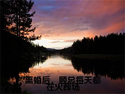 离婚后，顾总每天都在火葬场小说(顾天佑沈瑶)全文+后续（离婚后，顾总每天都在火葬场）畅享阅读