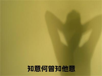 知意何曾知他意（贺知意苏凛安）小说全文免费读无弹窗大结局_知意何曾知他意小说全文免费阅读
