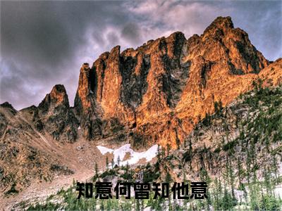 贺知意苏凛安续集(知意何曾知他意)全本完整免费版_起点章节+后续（贺知意苏凛安）