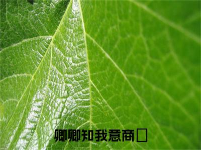 卿卿知我意商婓尤若初商婓终章（尤若初商婓）完整章节列表_笔趣阁