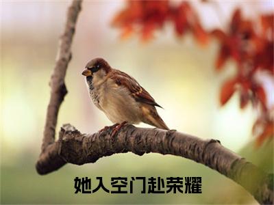 她入空门赴荣耀：全文+后续（江虞晚黎瑾深）全文最新免费阅读无弹窗_她入空门赴荣耀：全文+后续精选章节小说阅读_笔趣阁（江虞晚黎瑾深）