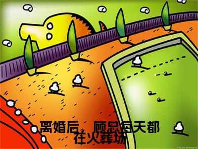 热文推荐离婚后，顾总每天都在火葬场小说大结局（顾天佑沈瑶）书荒必看列表