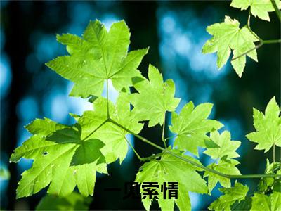 秦牧琛虞恩全文（一见索情小说）全文免费阅读无弹窗大结局_一见索情免费最新章节列表