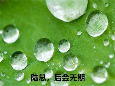 莫如雪陆易寒:全文+番外+章节前文（陆总，后会无期）TXT清爽版在线