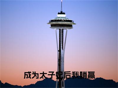 成为太子妃后我躺赢了：+后续热血十足 布尔和胤礽：结局+番外评价五颗星