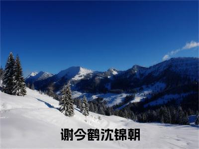 谢今鹤沈锦朝（沈锦朝谢今鹤）全文免费阅读无弹窗无删减_小说（谢今鹤沈锦朝）沈锦朝谢今鹤+后续评价五颗星